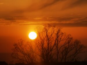 Solnedgang over træer og himlen